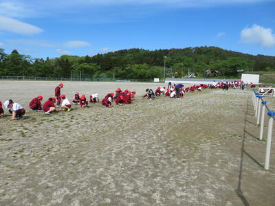 学年ごとに分担して草取りをしました。